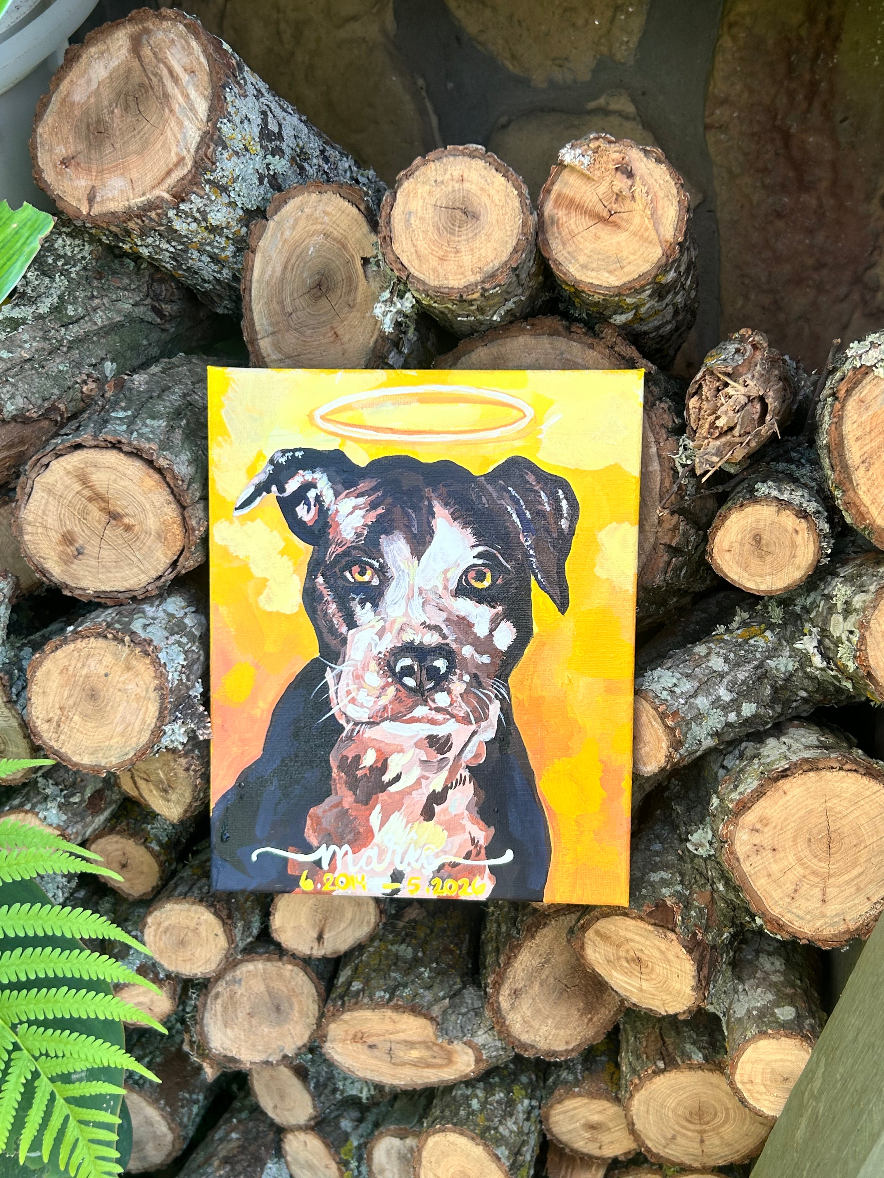 Custom Pet portrait